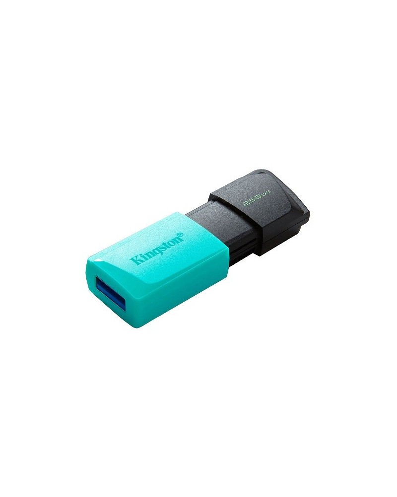 PEN DRIVE 256GB DTXS USB 3.2 KINGSTON