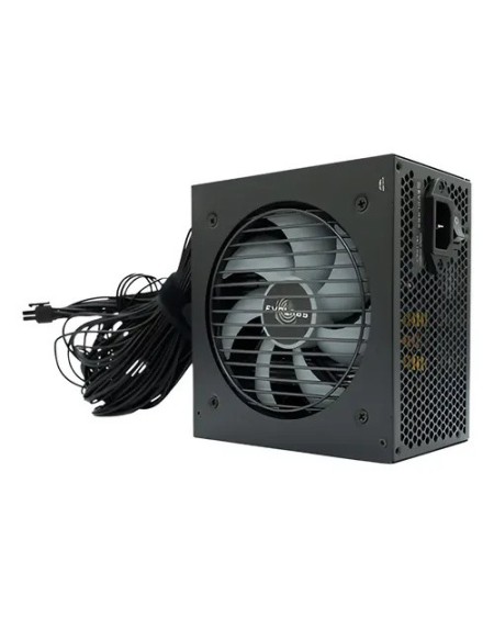 FUENTE P/PC 650W 80 PLUS BRONZE EVOLABS