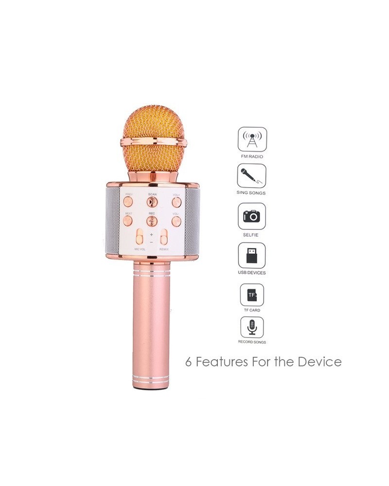 MICROFONO BLUETOOTH C/TF C/FM HANDHELD WS-858 KTV