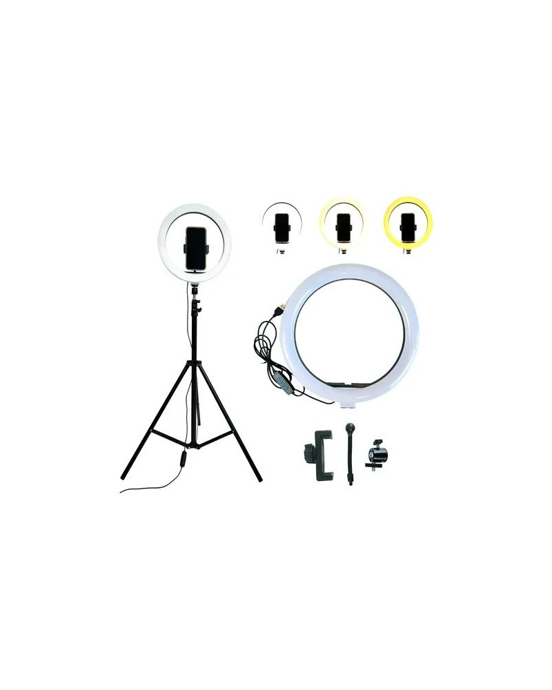ARO DE LUZ CALIDA/FRIA 26CM+TRIPODE NITSUK