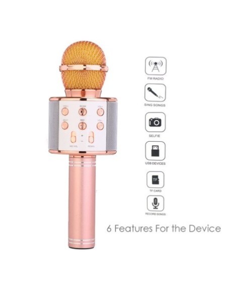 MICROFONO BLUETOOTH C/TF C/FM HANDHELD WS-858 KTV