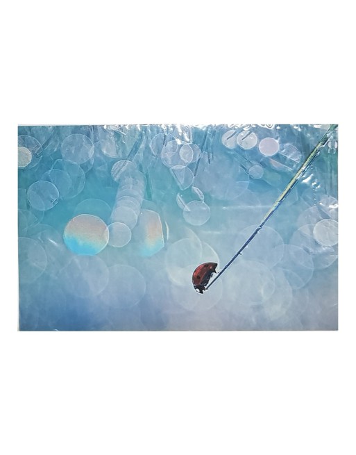 SKIN P/NETBOOK DISEÑO ANIMAL VAQUITA DE SAN ANTONIO FUN TOPS