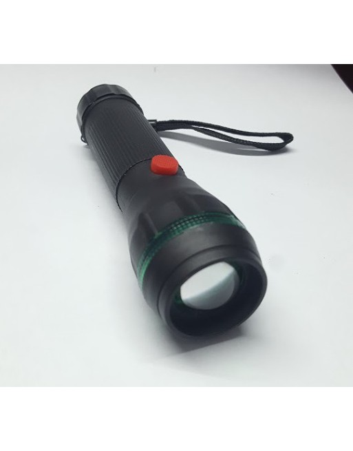 LINTERNA PLASTICO C/ZOOM ARO DE COLOR 3 PILAS AAA