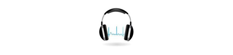 AUDIO PARLANTES AURICULARES