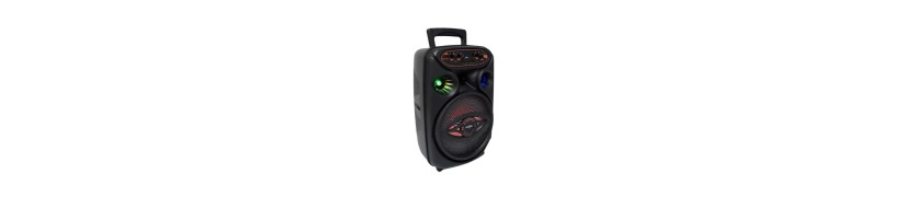 PARLANTES RECARGABLES