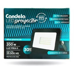 REFLECTOR LED 30W LUZ FRIA...